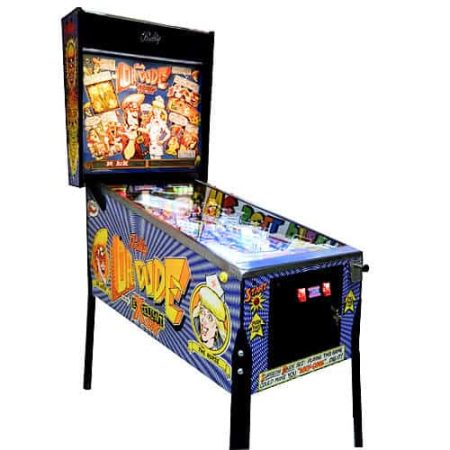 Dr. Dude Pinball Machine